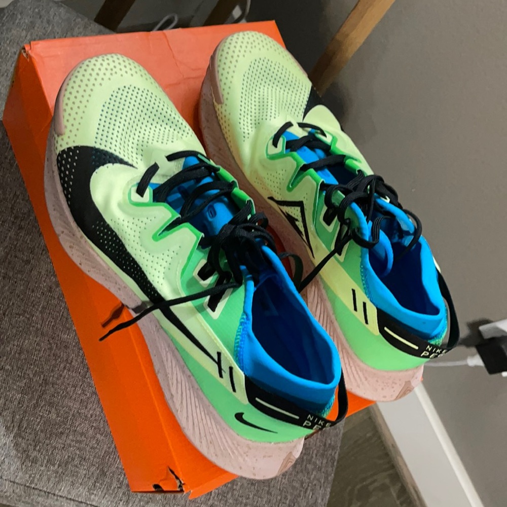 Nike Pegasus Trail 2(no box)